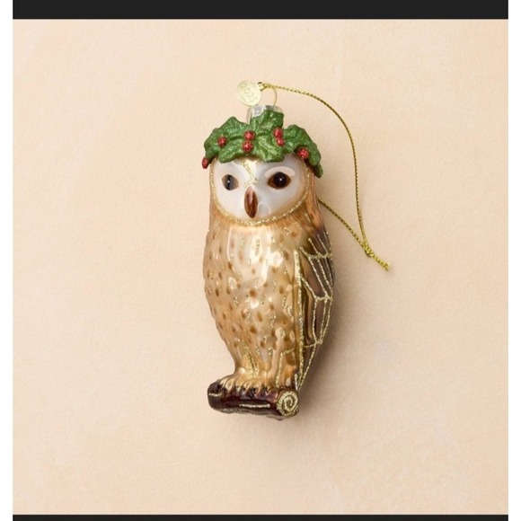 John Derian for Target 2025 Glass Owl Ornament Holiday NIB Laurel Crown‎ - Picture 3 of 9